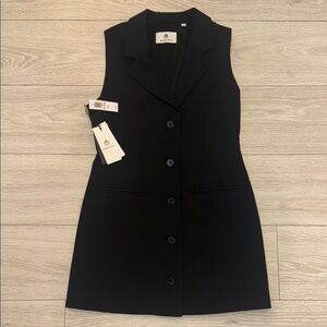 Aritzia Black Buttoned Vest Dress
